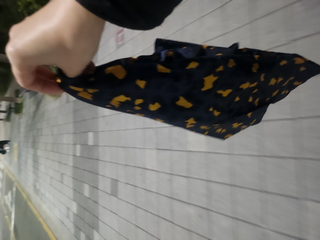 20240321_190813.jpg