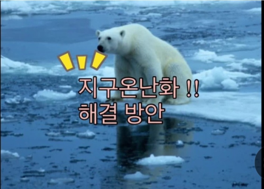 Screenshot_20230705_124356_NAVER.jpg