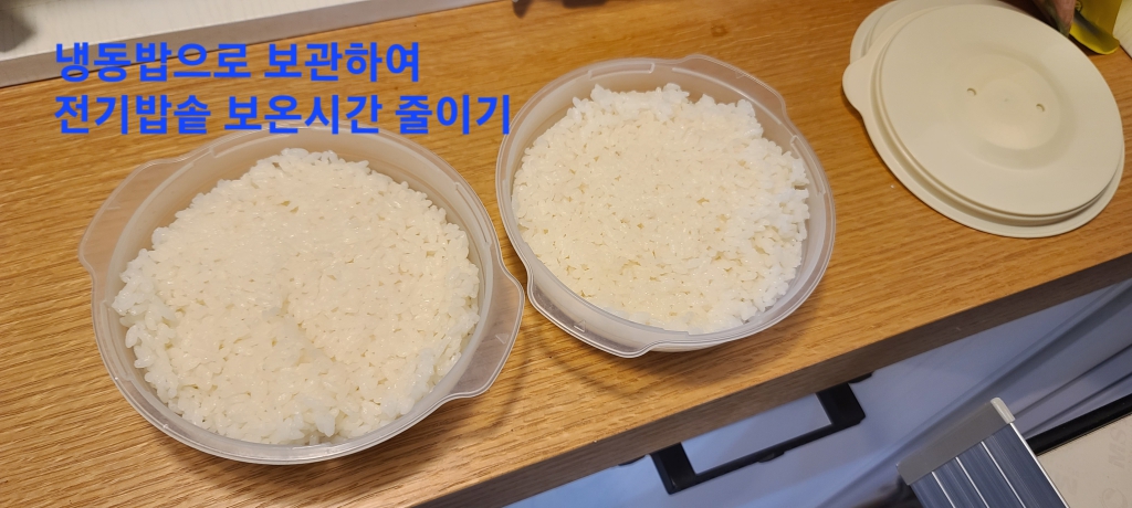 20240216_082530 - Yoonjin Shin (lucia).jpg
