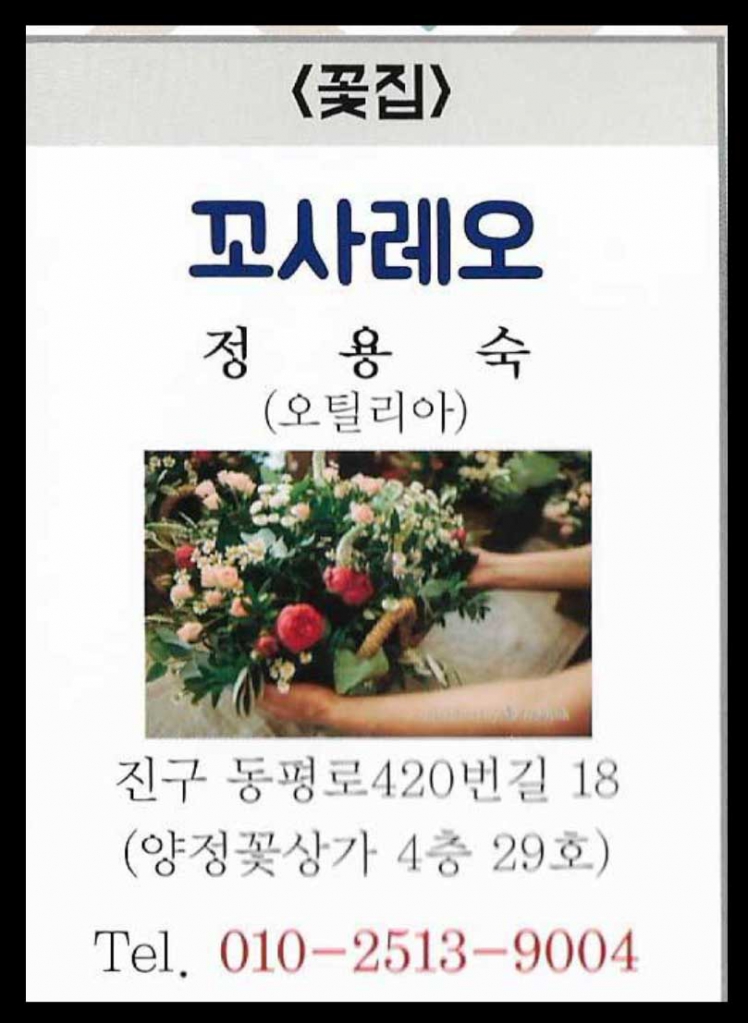 꼬사레오.jpg