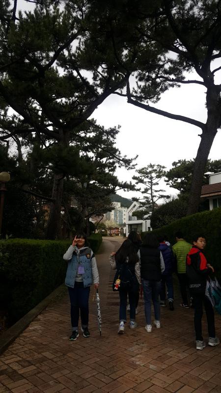 수정됨_1491139608728.jpg