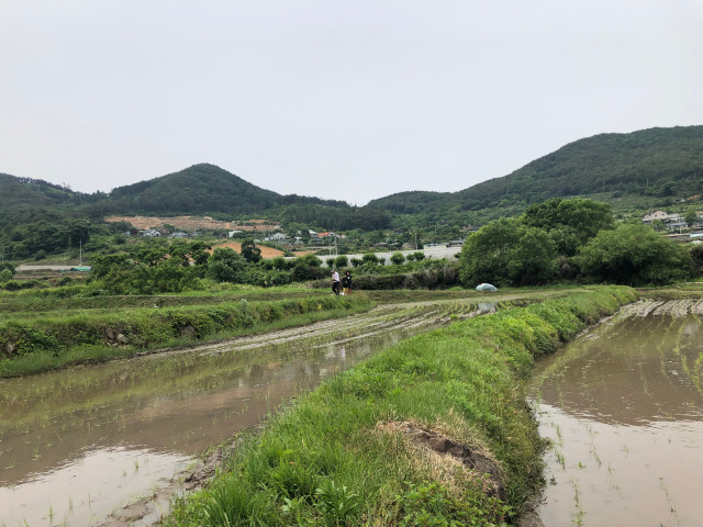 수정됨_1558864446407-15.jpg