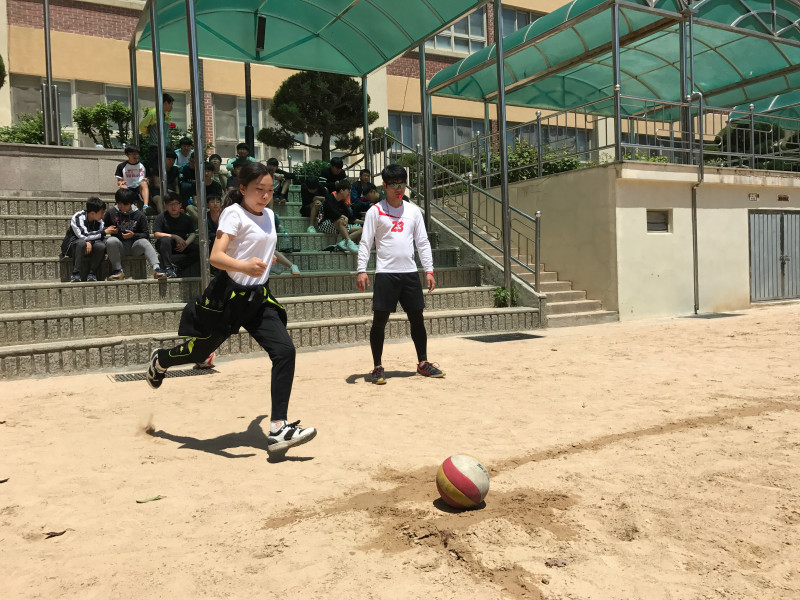 수정됨_1494766344371.jpg