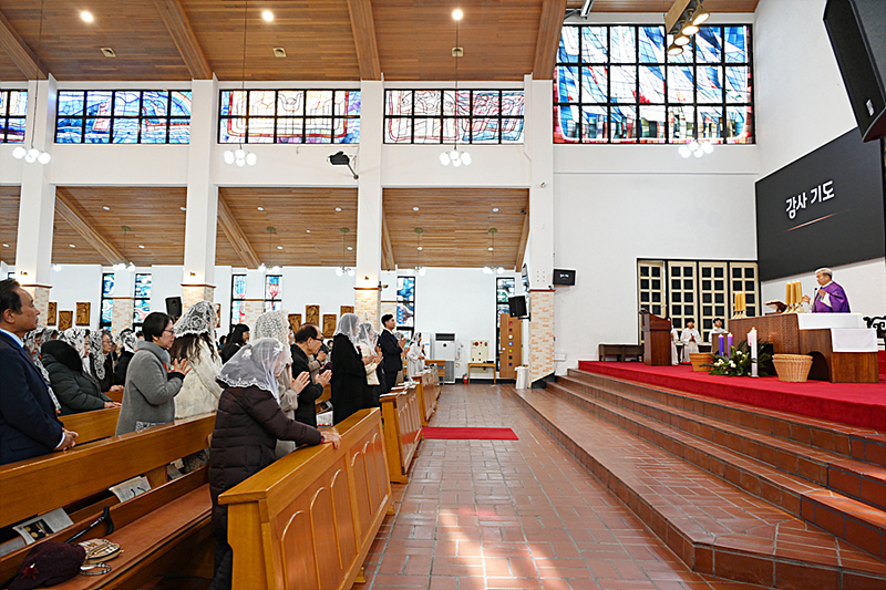 DSC_8241.jpg