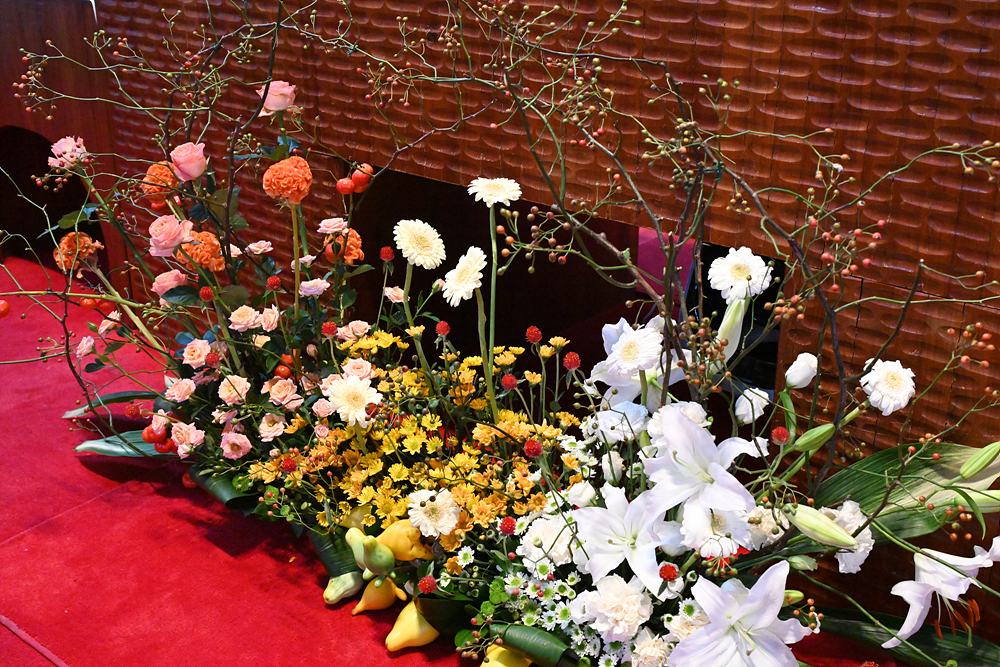 DSC_1954.jpg