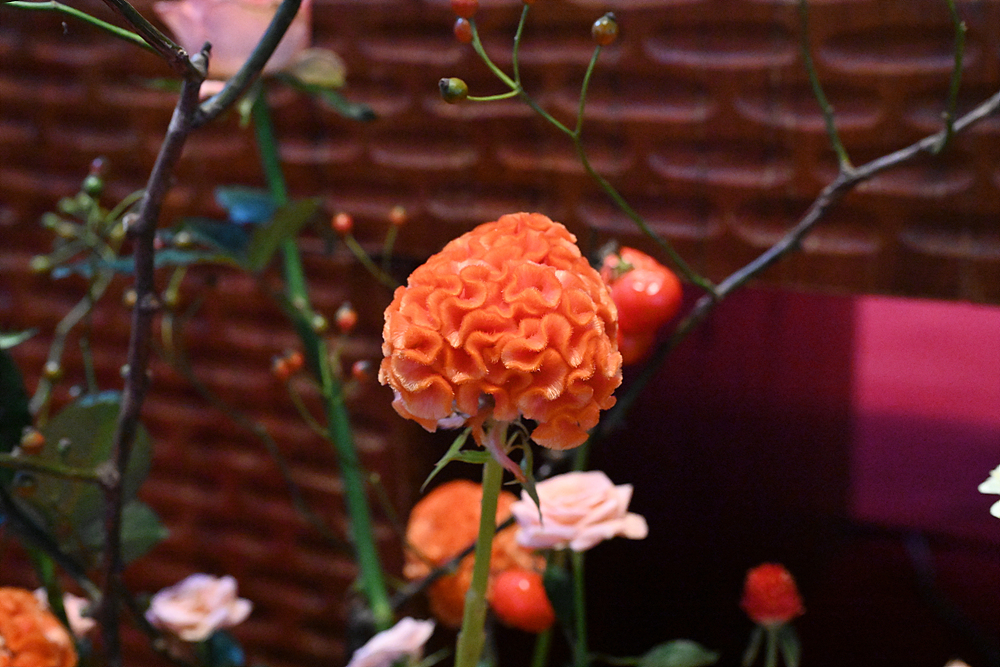 DSC_1956.jpg