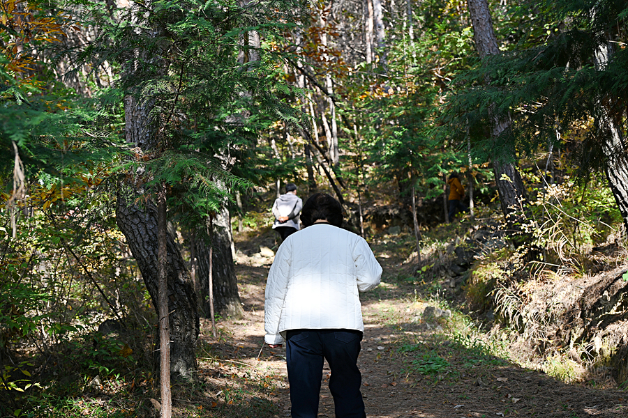 DSC_6488.jpg