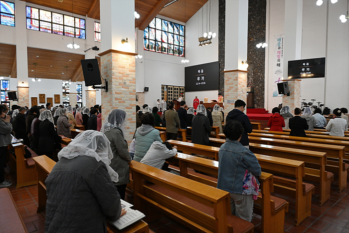 DSC_3037.jpg
