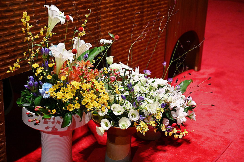DSC_9372.jpg