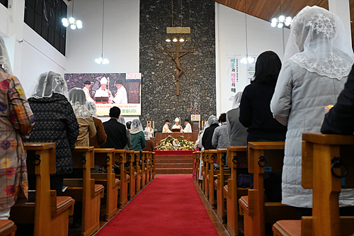 DSC_4363.jpg