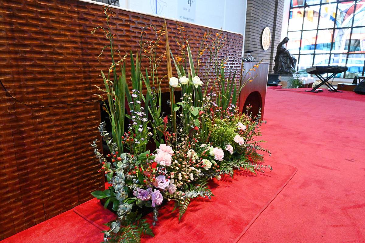 DSC_9125.jpg