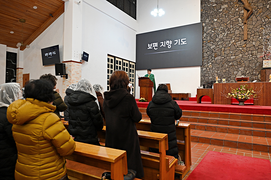 DSC_1019.jpg