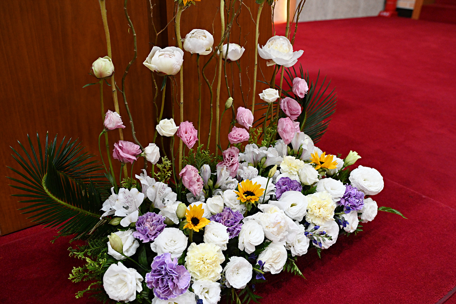DSC_6064.jpg