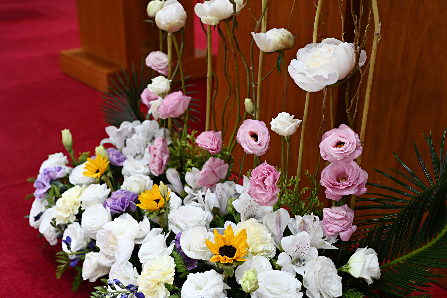 DSC_6067.jpg