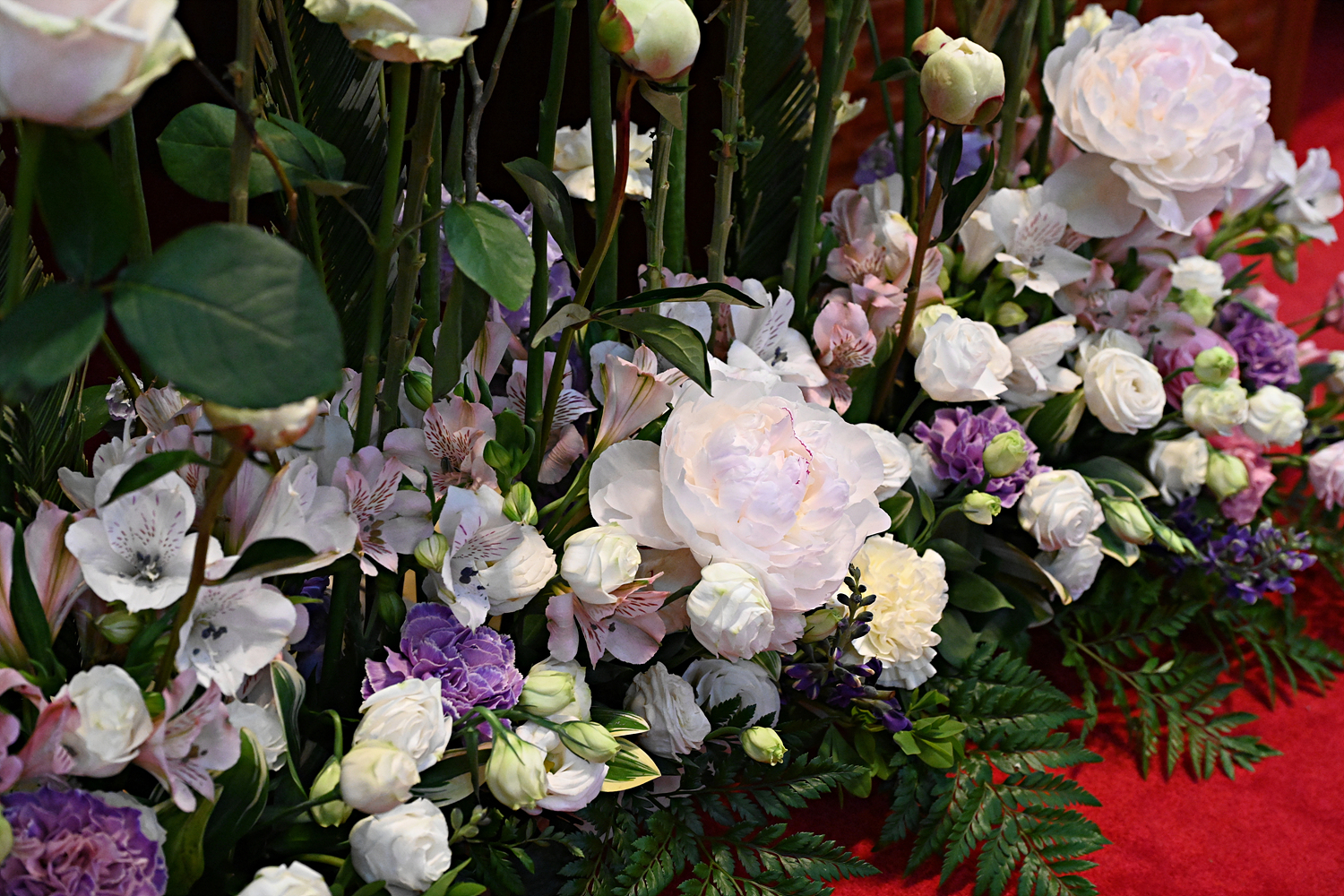 DSC_5952.jpg