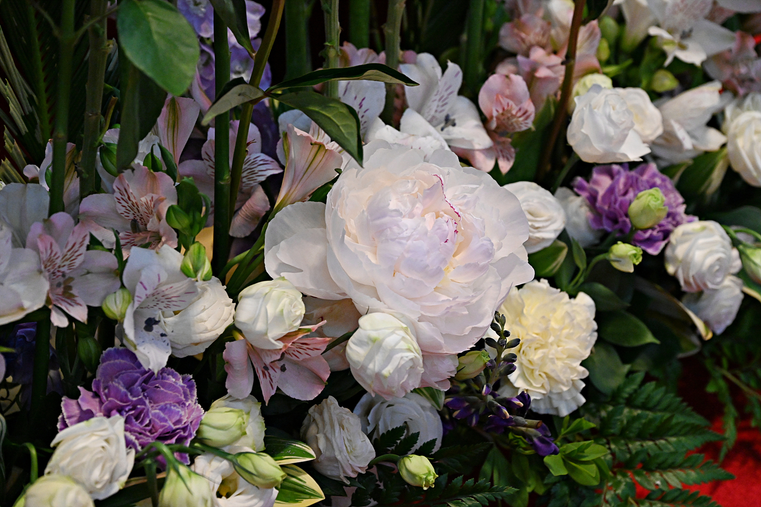 DSC_5949.jpg