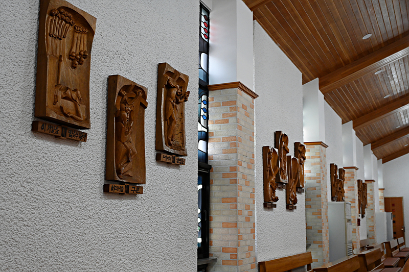 DSC_3551.jpg