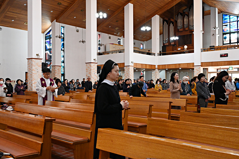 DSC_3559.jpg
