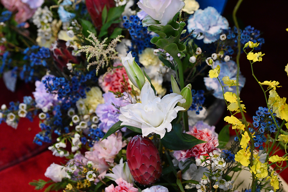 DSC_1508.jpg