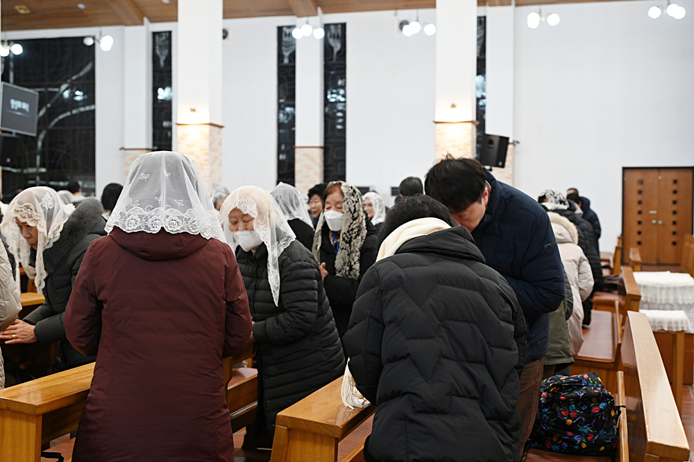 DSC_9965.jpg