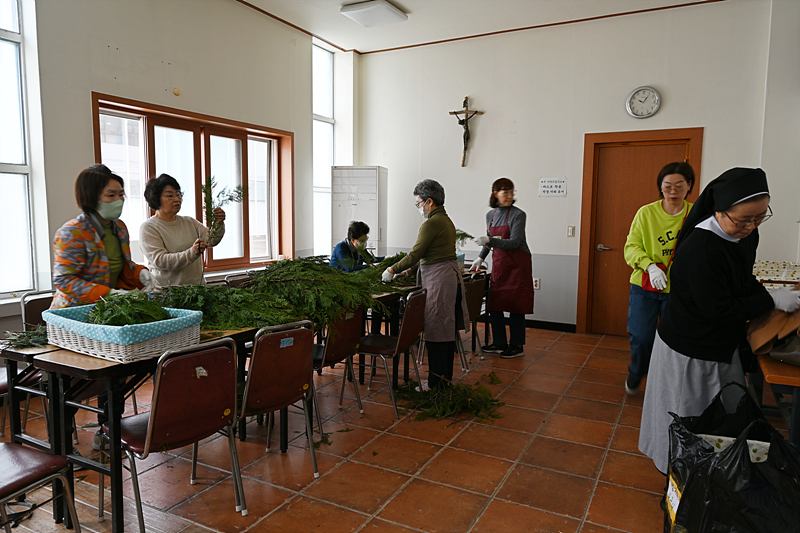 DSC_2800.jpg