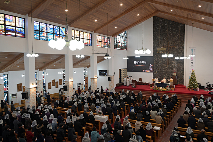 DSC_9009.jpg