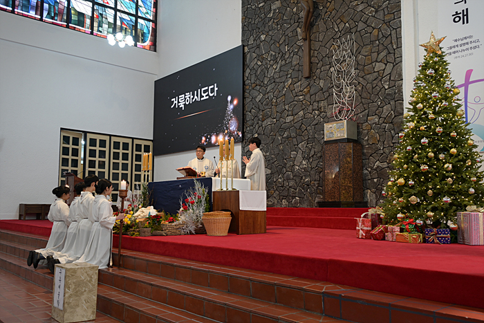 DSC_8977.jpg