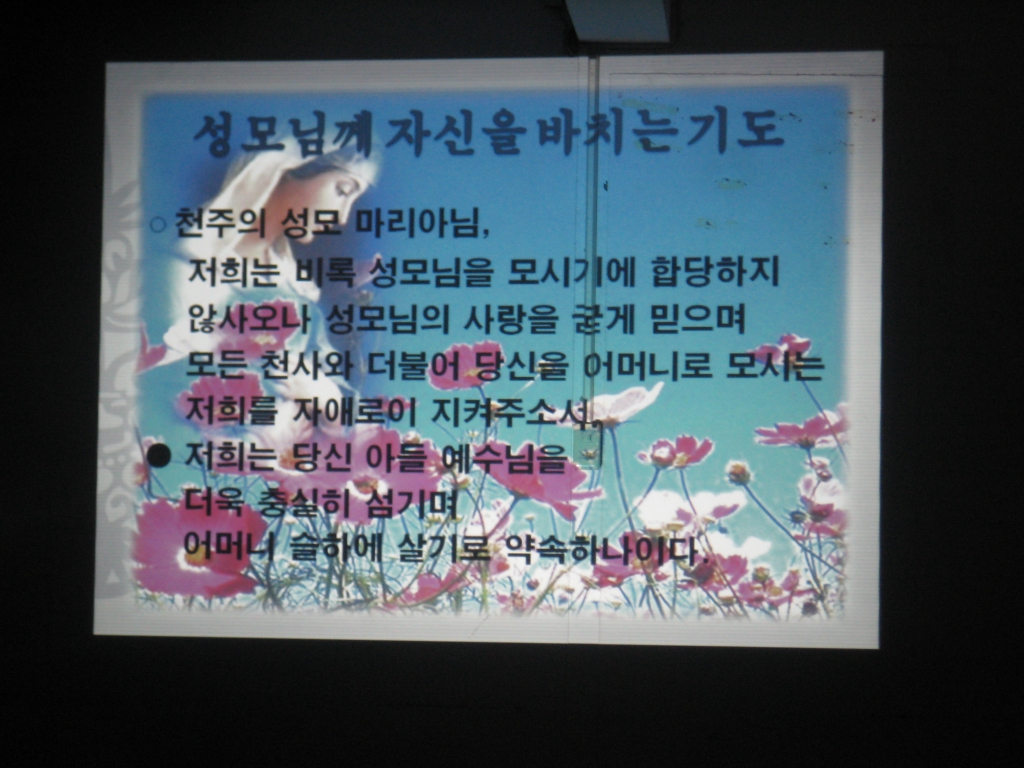 2009성모의밤 044.jpg