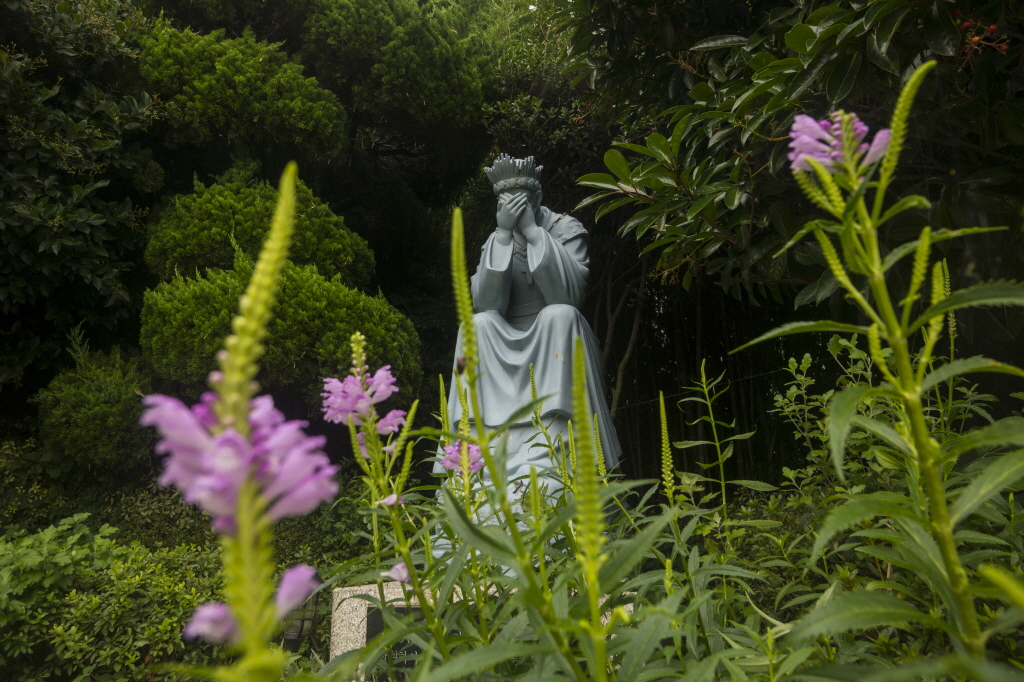 DSC01658web.jpg