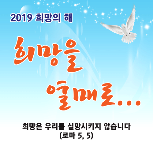 2019년 희망의 해 슬로건.gif