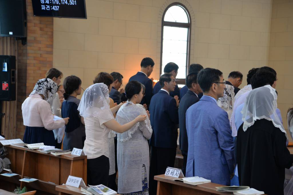 DSC_2542.JPG