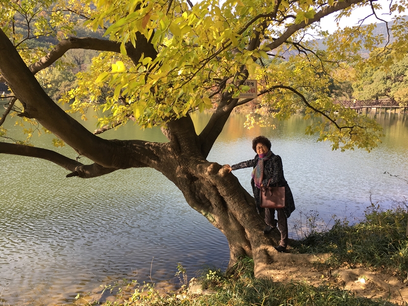 KakaoTalk_20161113_105732836-012.jpg