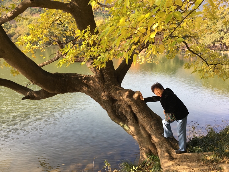 KakaoTalk_20161113_105731272-011.jpg