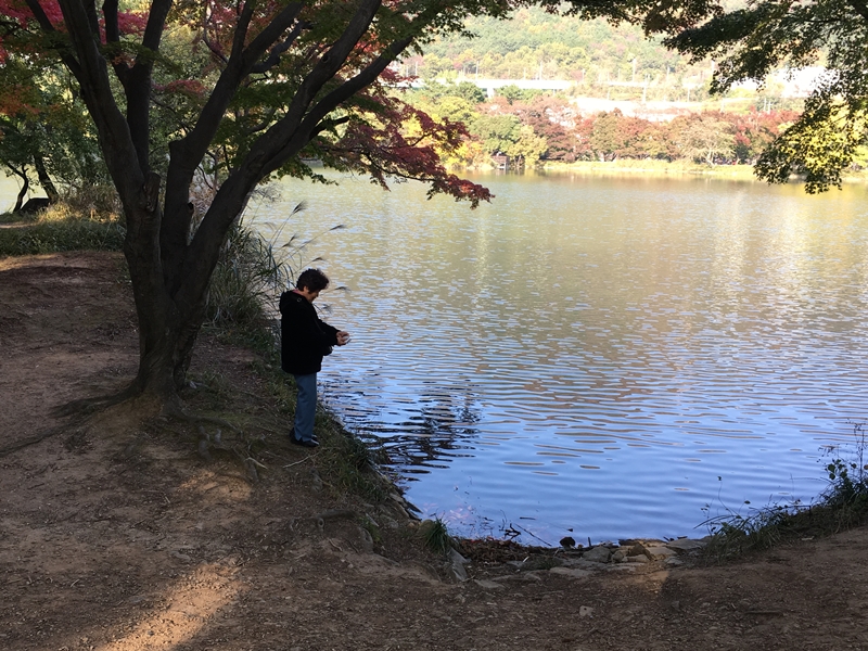 KakaoTalk_20161113_105717298-005.jpg