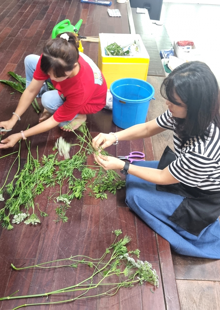 KakaoTalk_20241116_123609486_08.jpg