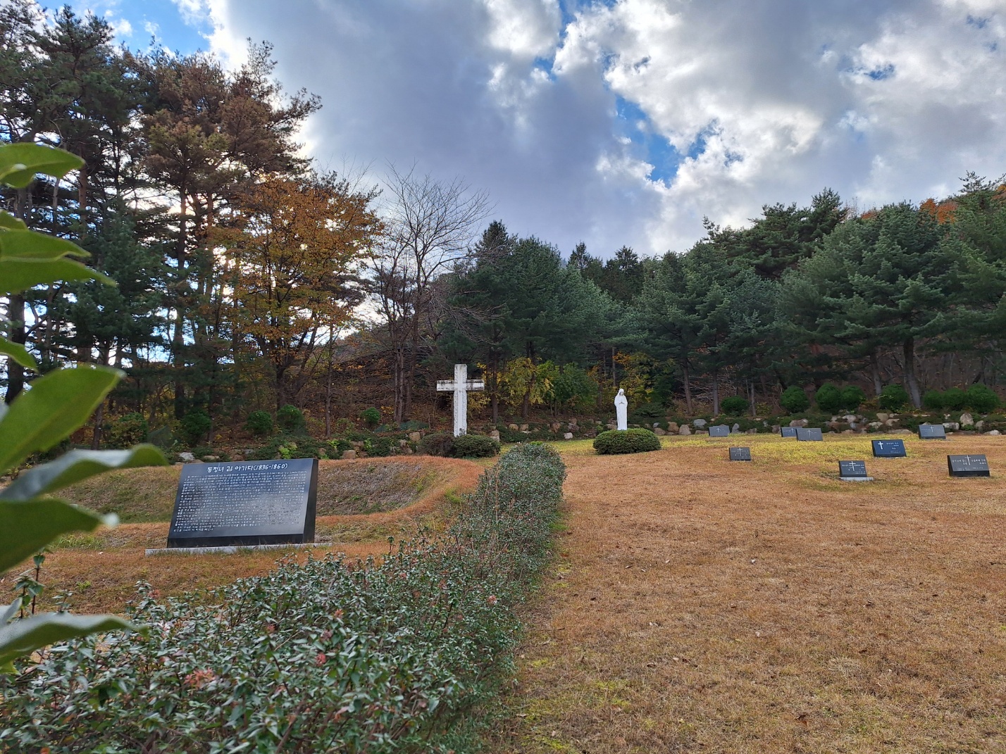 1732532532050-13.jpg