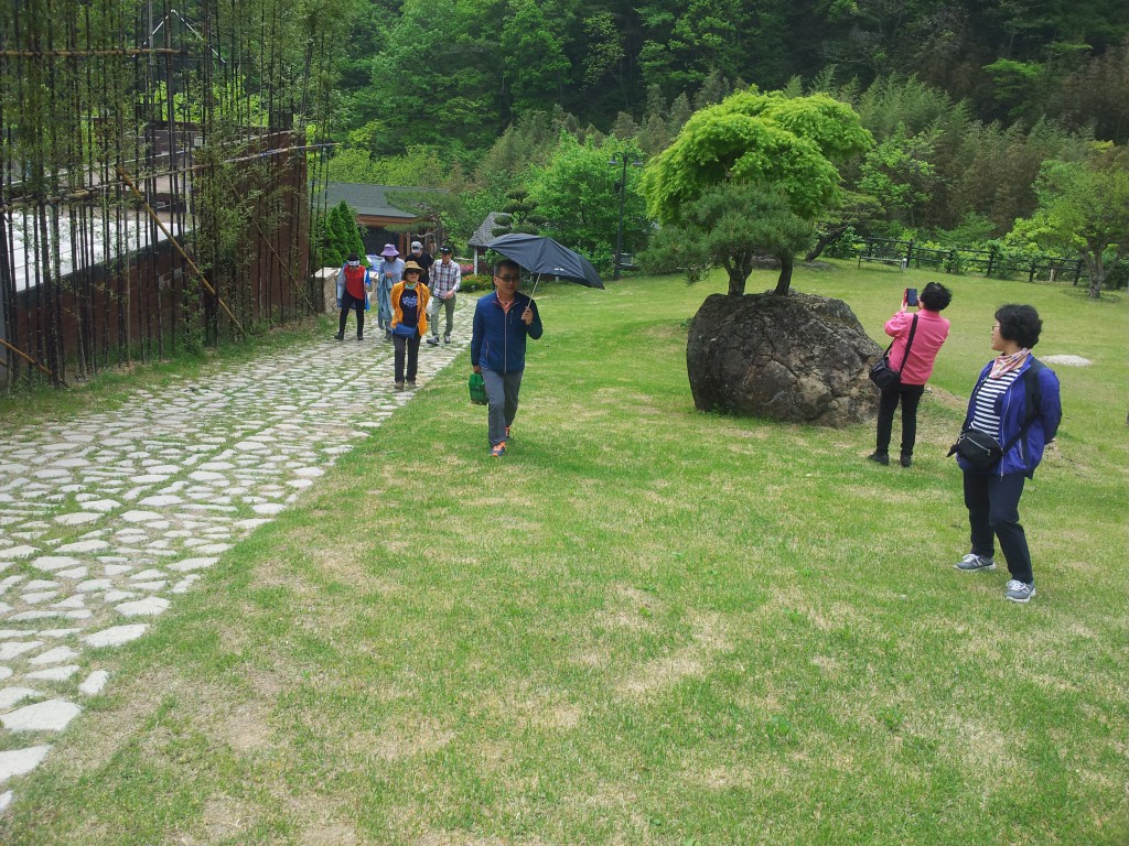 20170501_145259.jpg