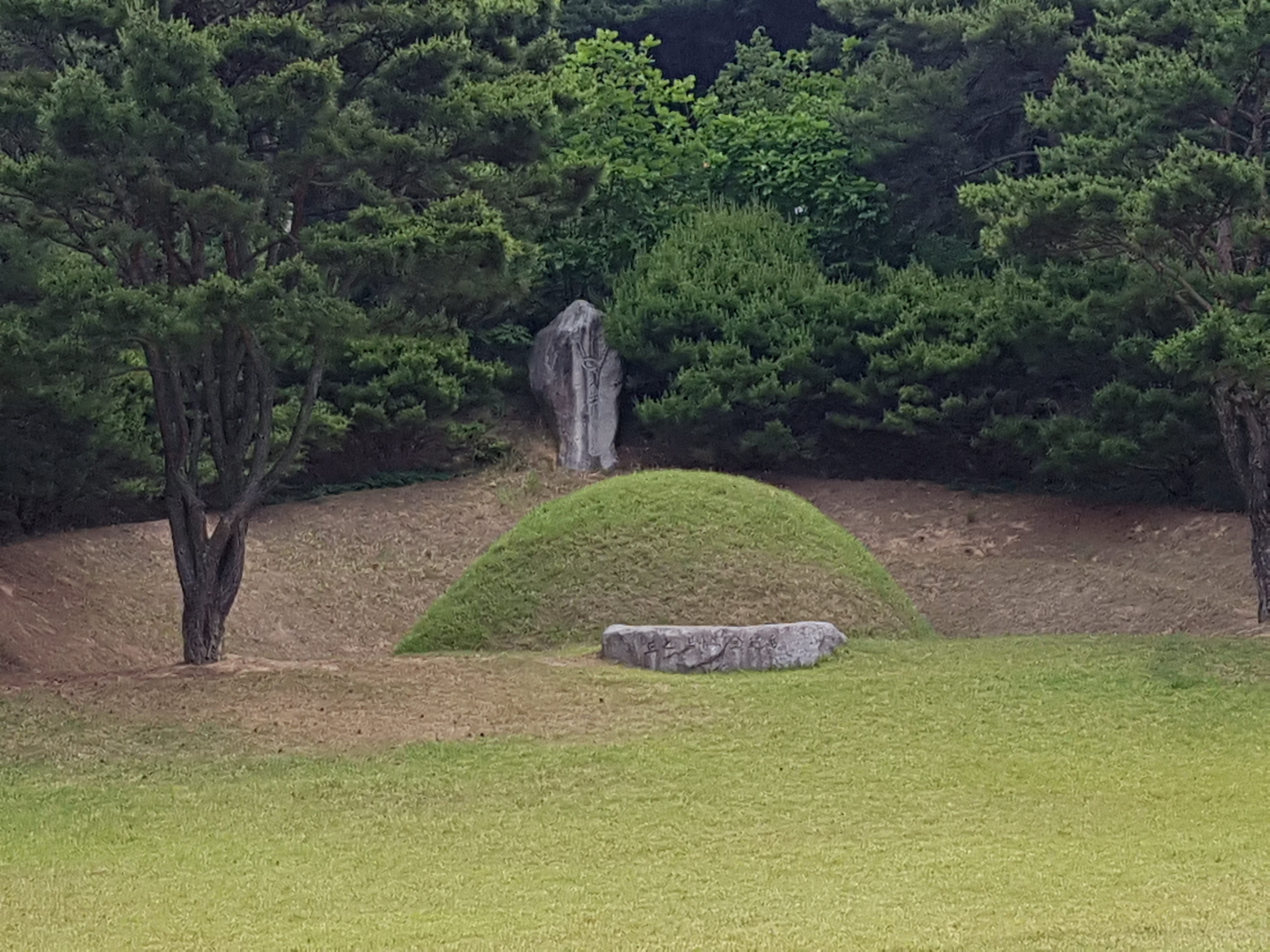 20190606_162341.jpg