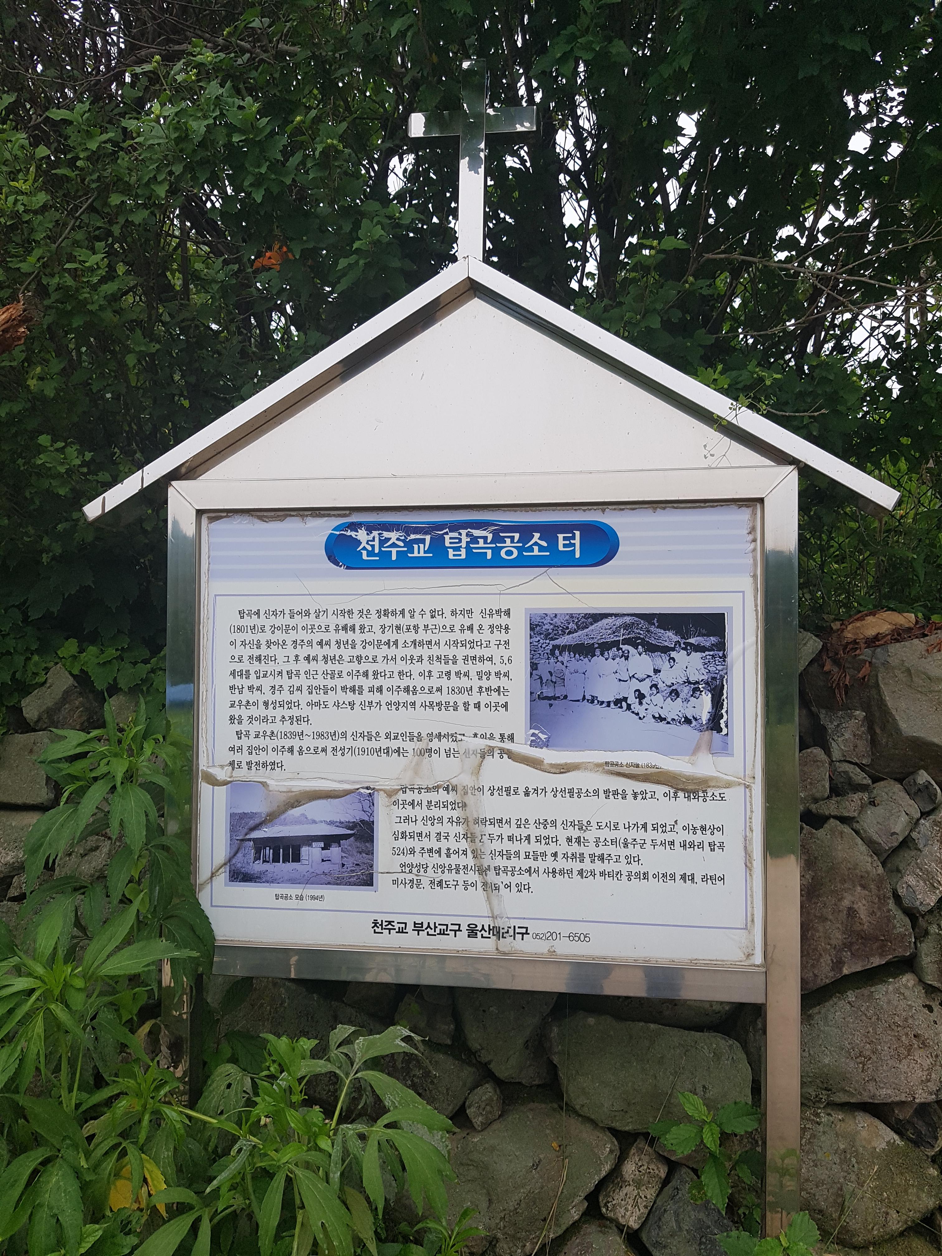 20190713_104239.jpg