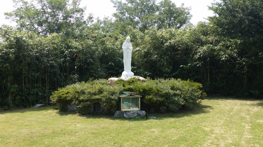 20170830_132157.jpg