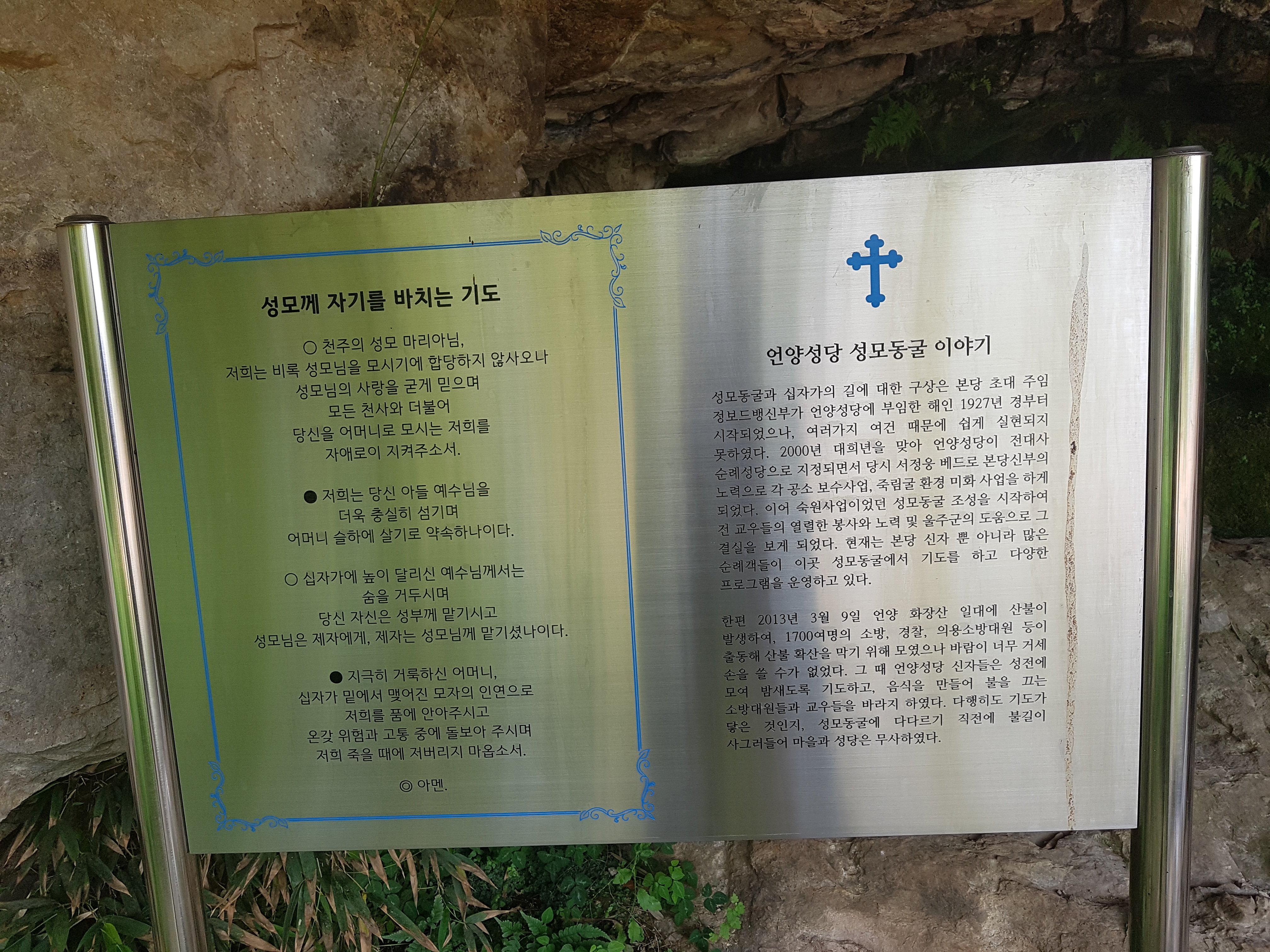 20190606_090124.jpg