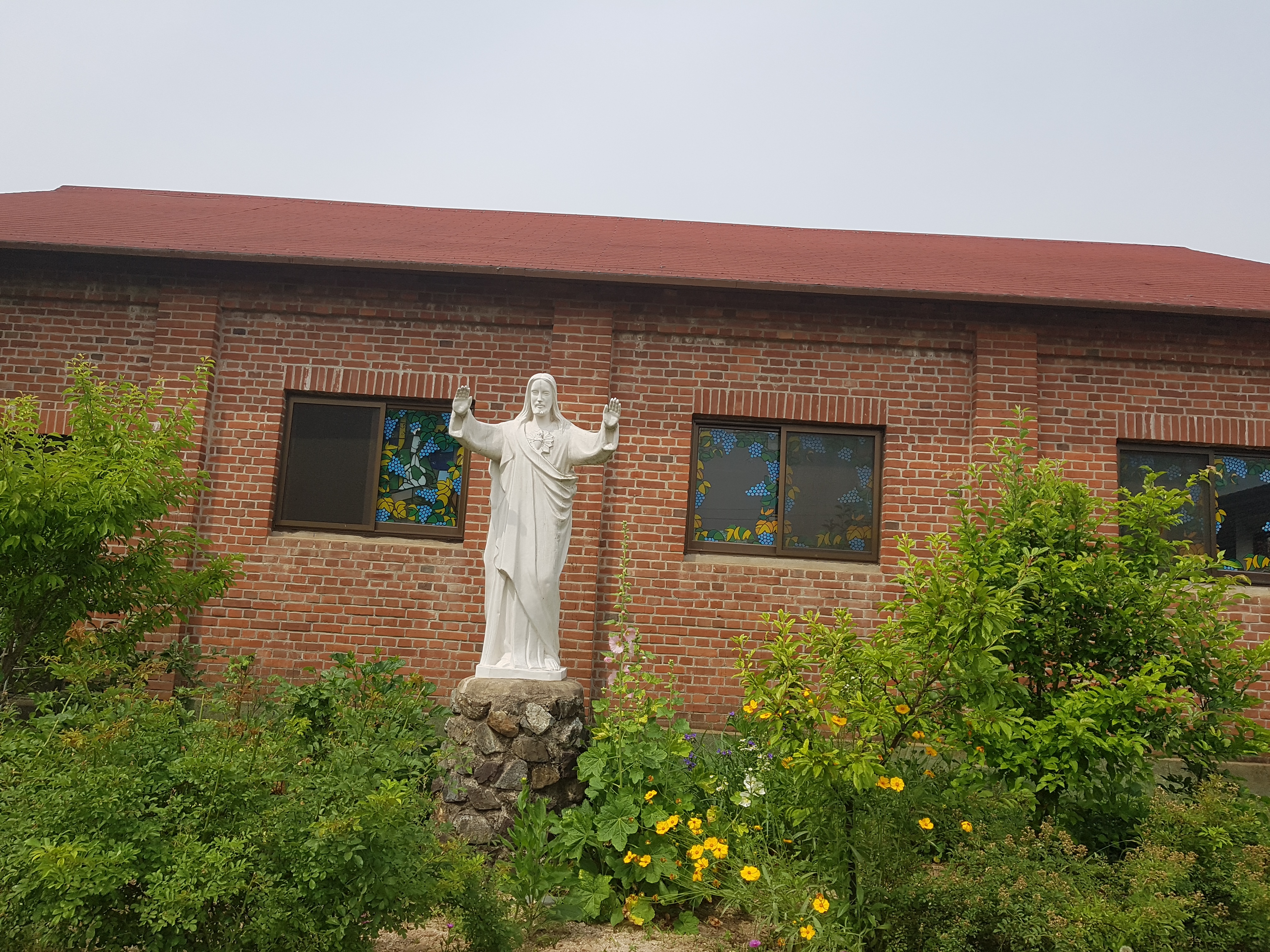 20190606_095713.jpg