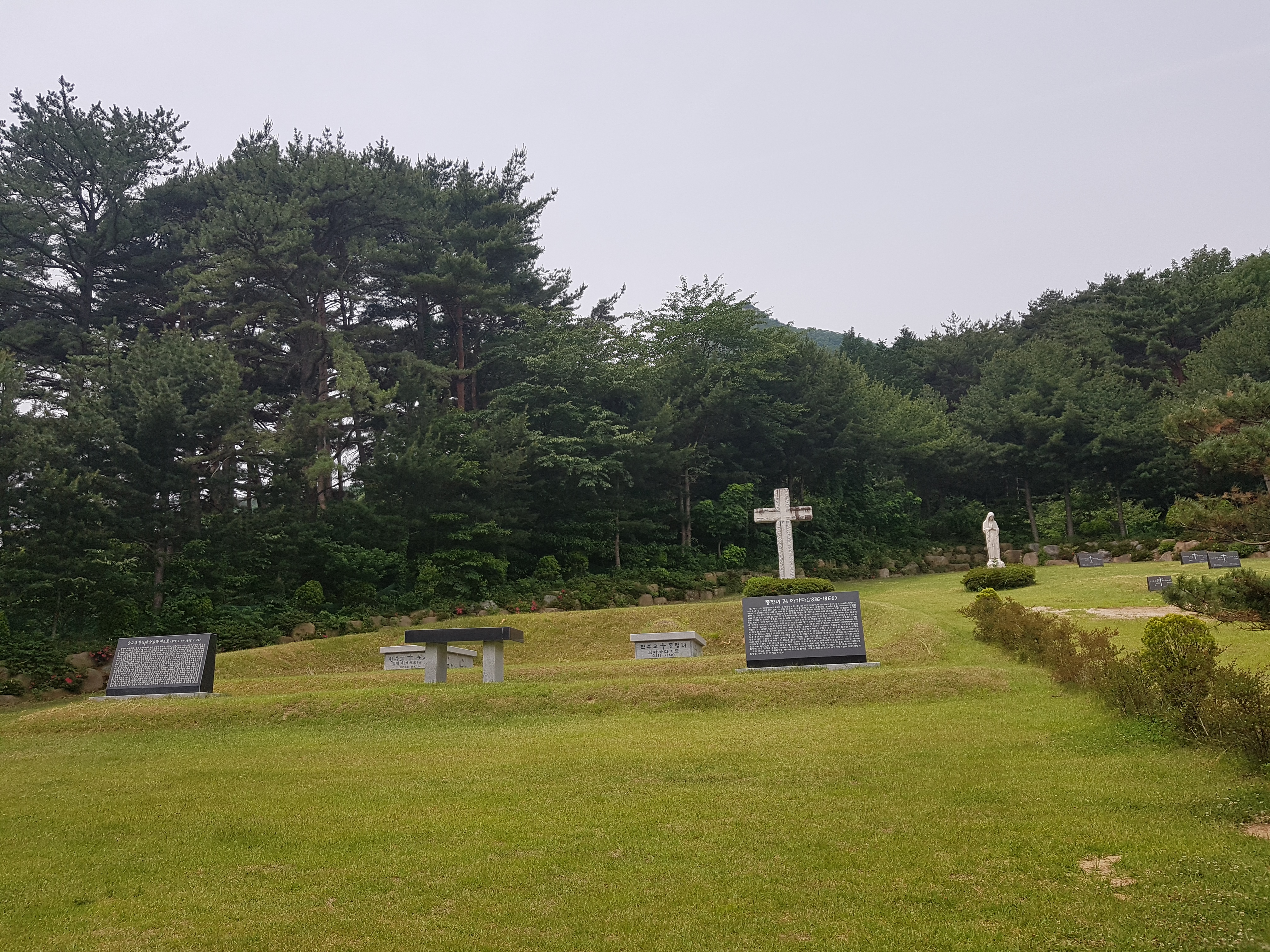 20190606_105635.jpg