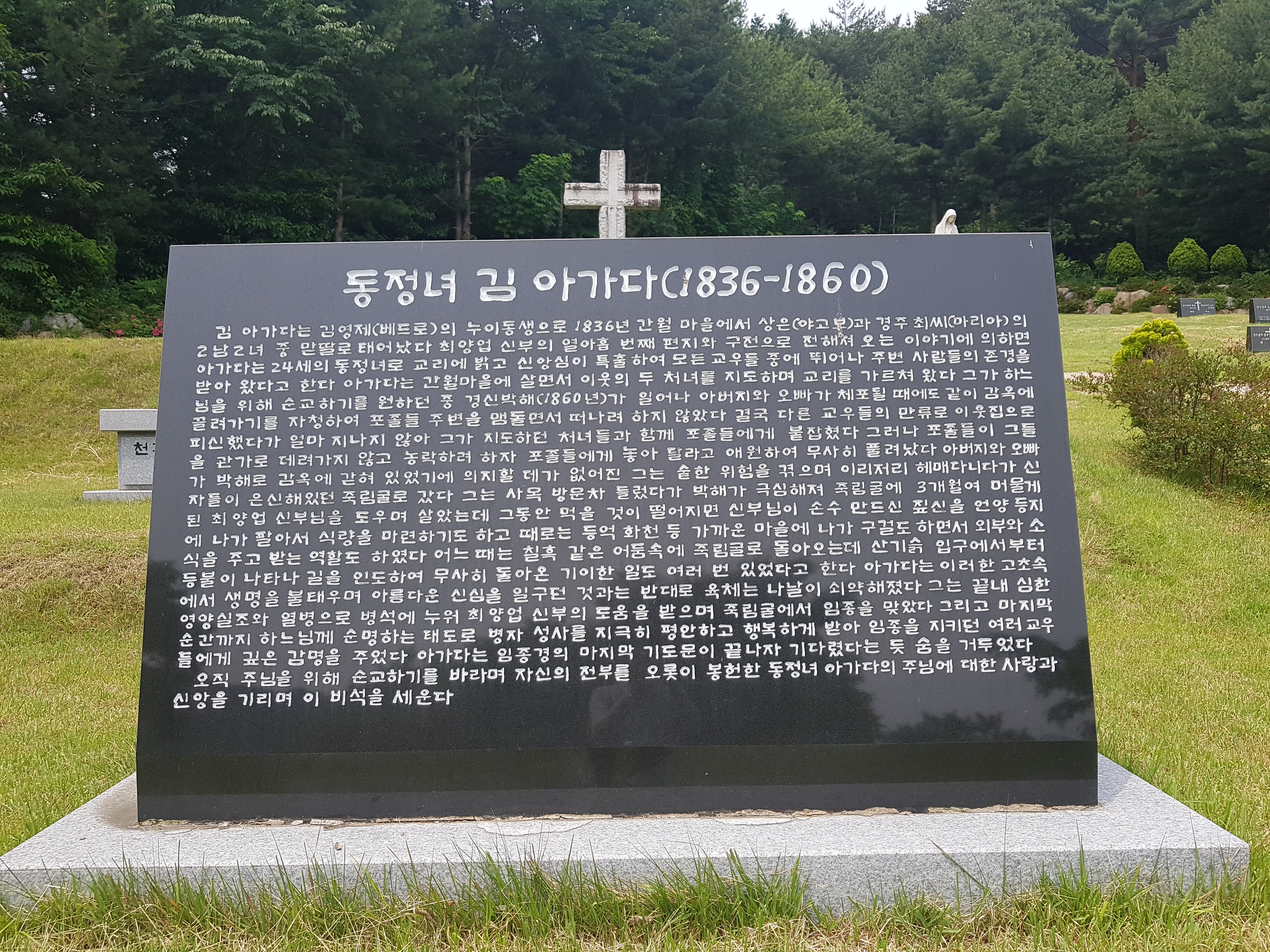 20190606_105747.jpg