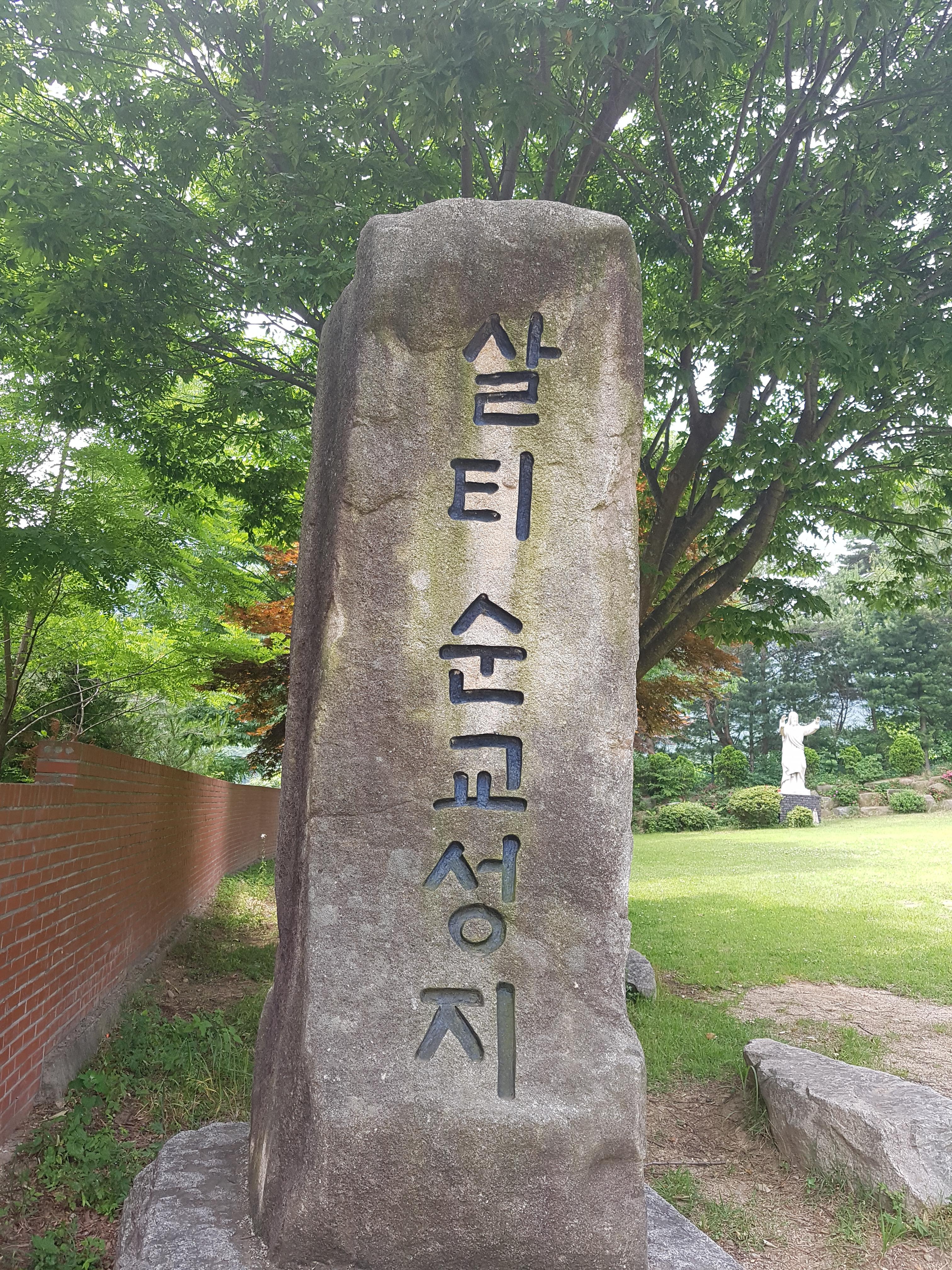 20190606_105601.jpg