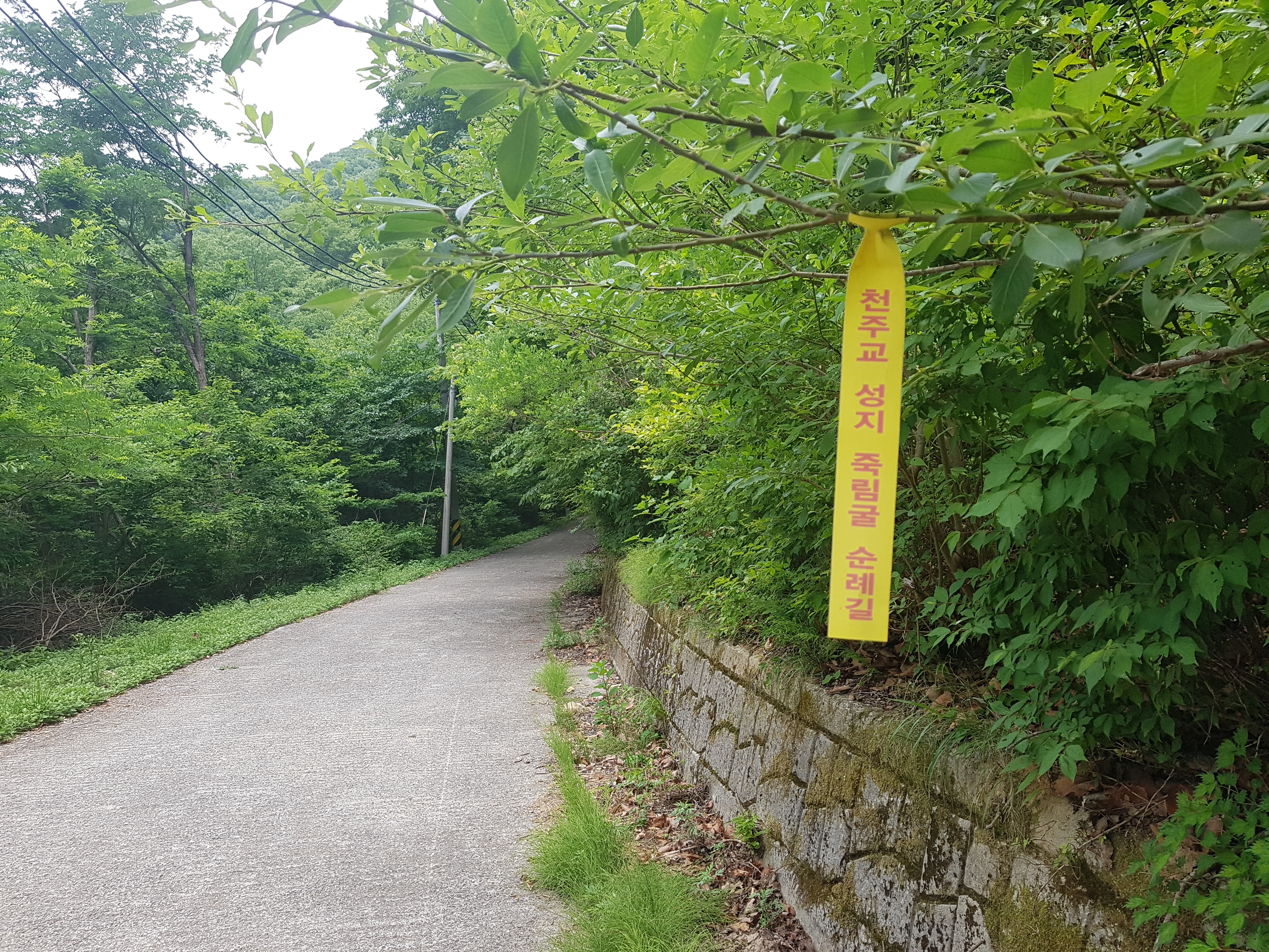 20190606_124445.jpg
