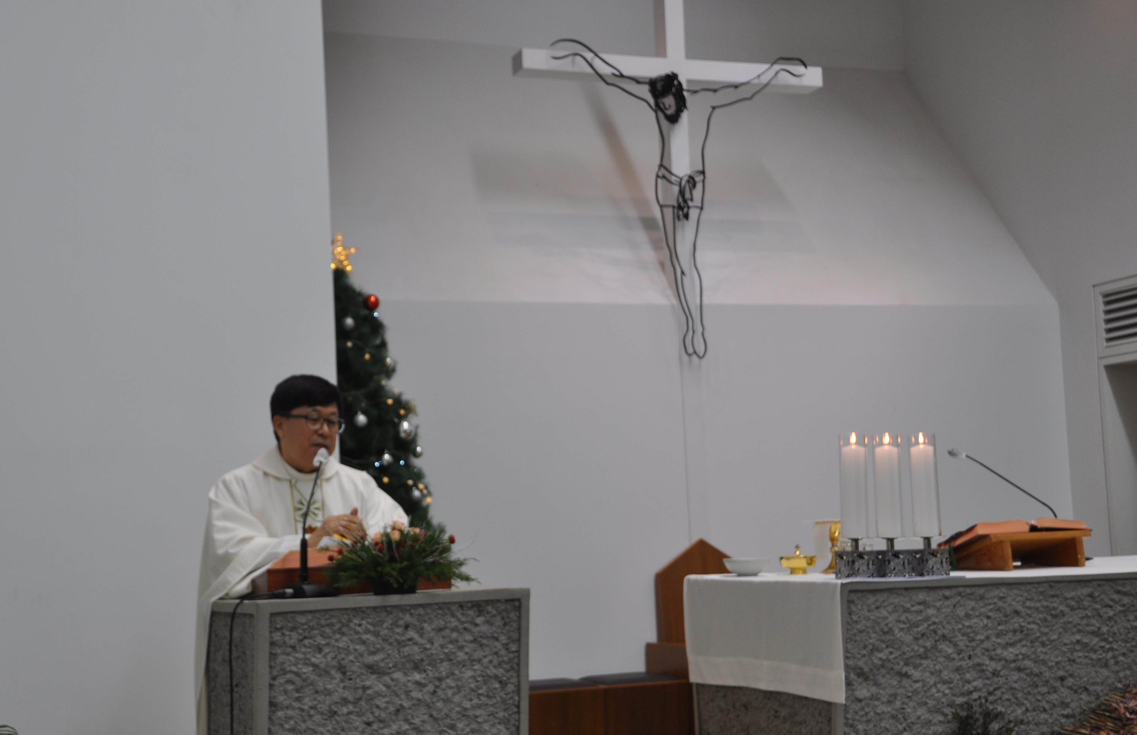 DSC_0036[1].JPG
