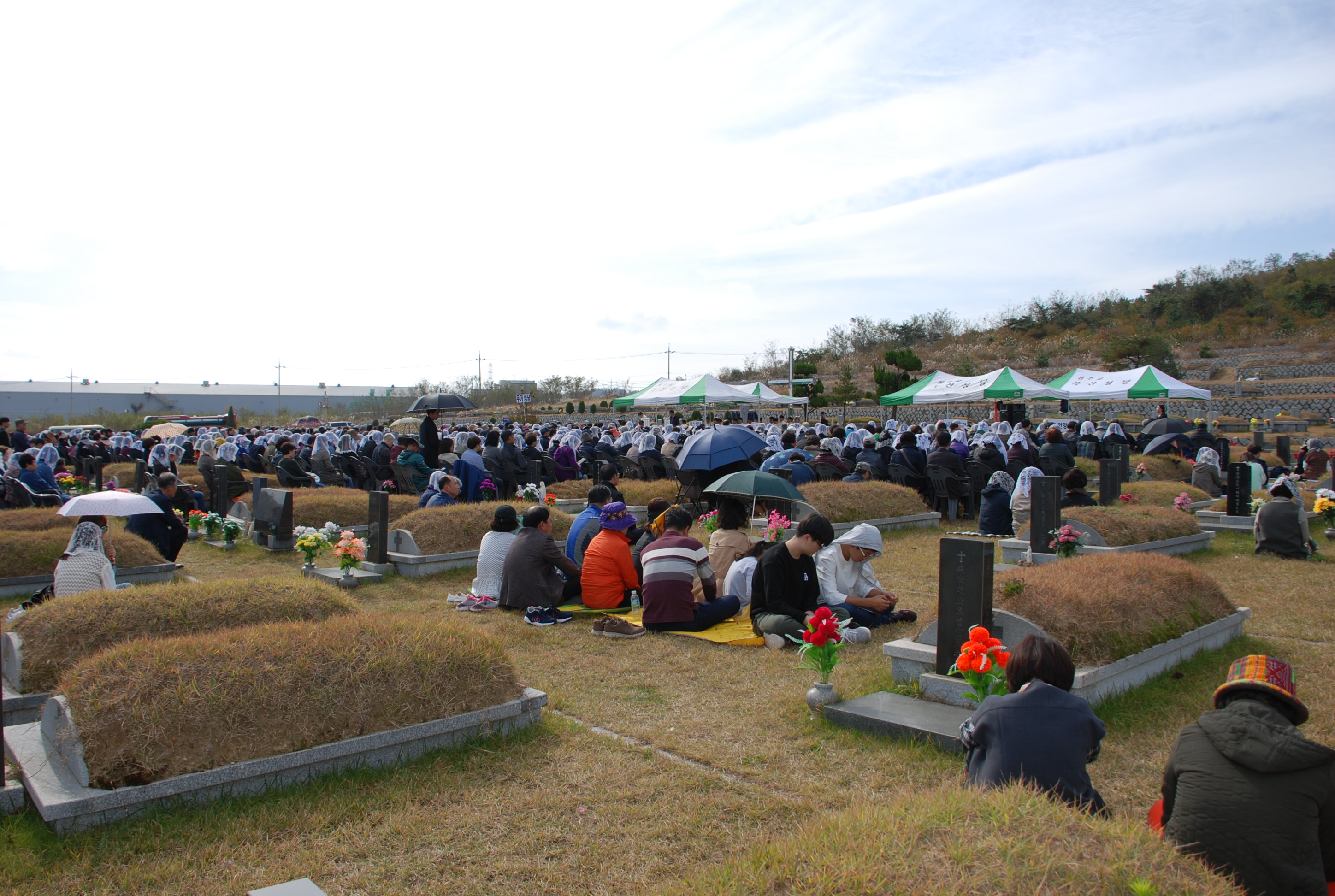 DSC_1441.JPG