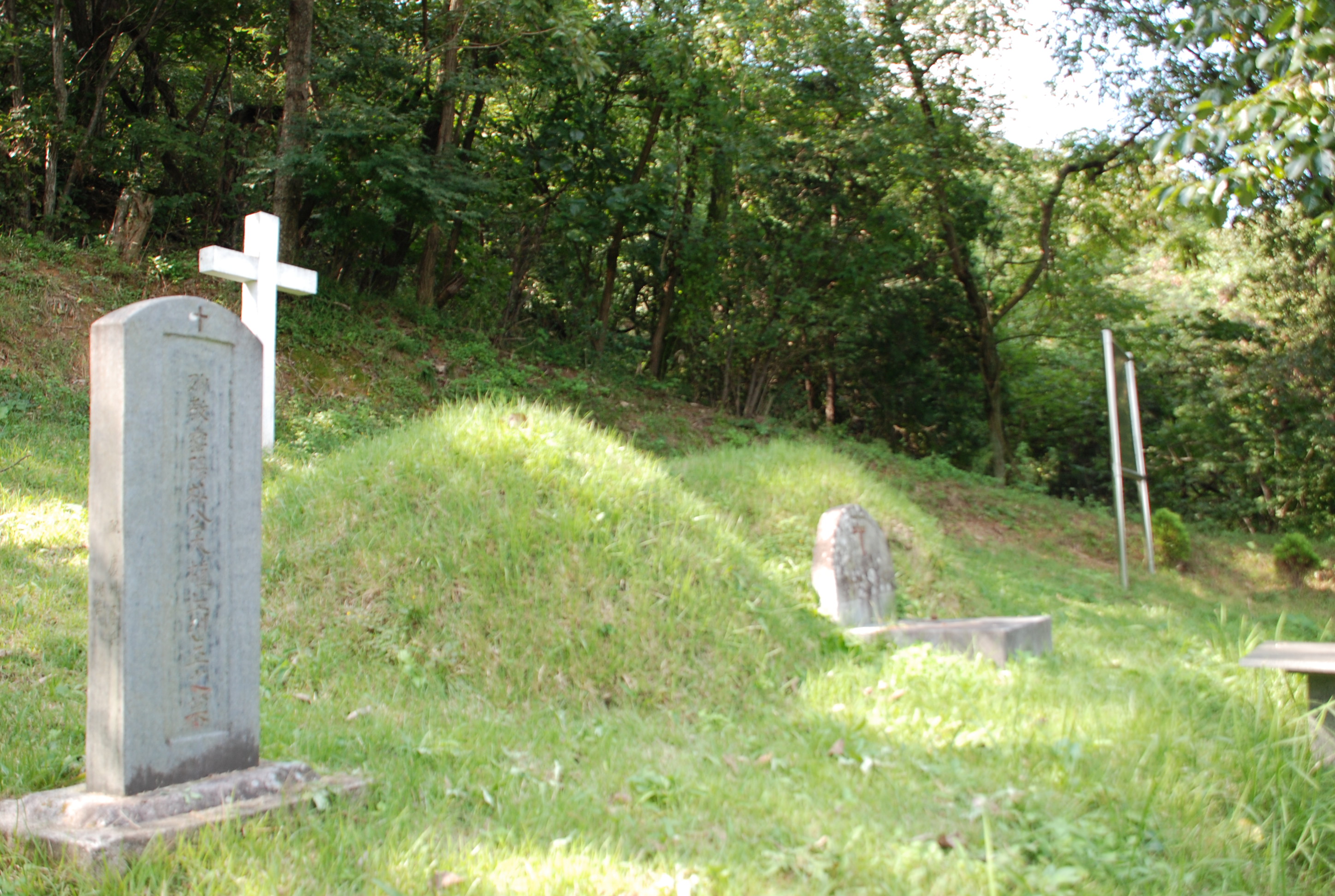 DSC_1392.JPG