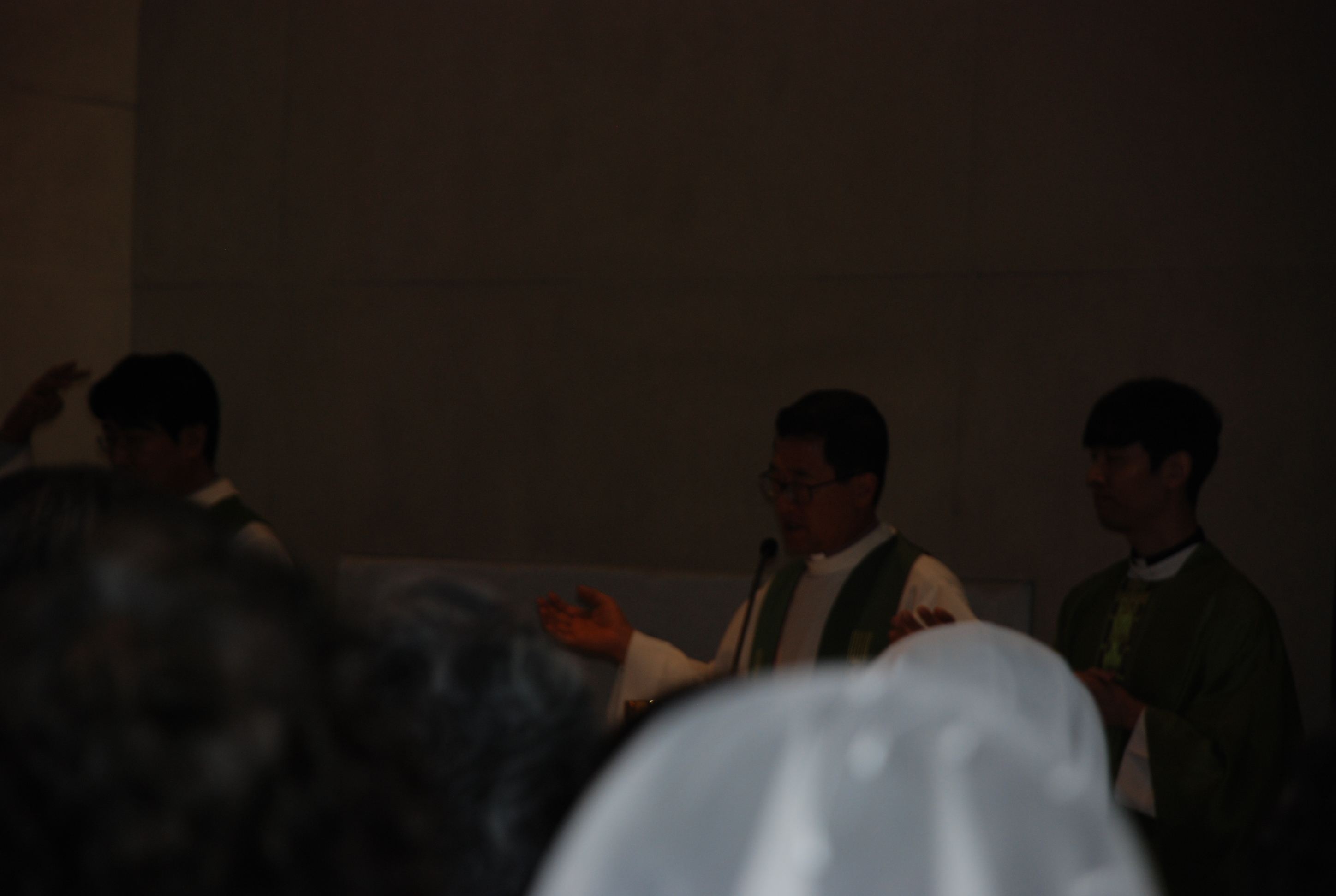 DSC_1335.JPG
